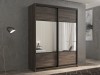 Шкаф-купе 2-х дверный Кааппи 6 Орех Тьеполло 160х60х230 см